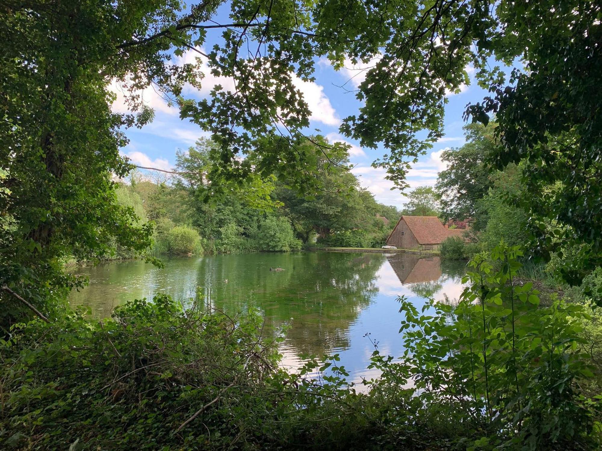Moorhen Cottage Hollingbourne エクステリア 写真
